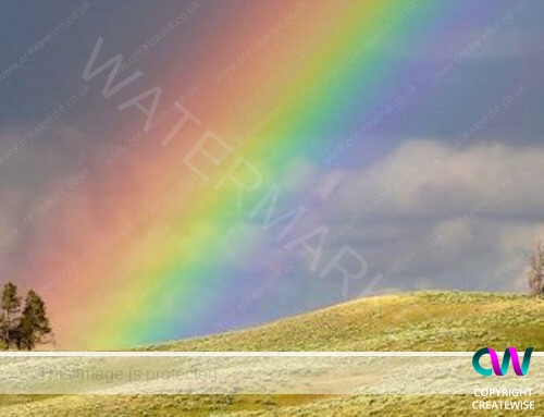 Is the world less colourful than before?